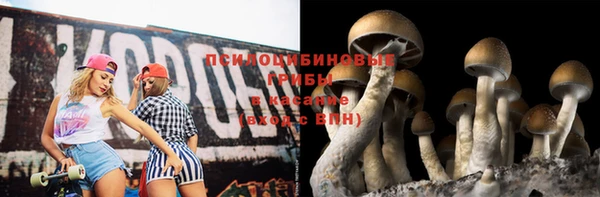 ГАЛЛЮЦИНОГЕННЫЕ ГРИБЫ Алексеевка