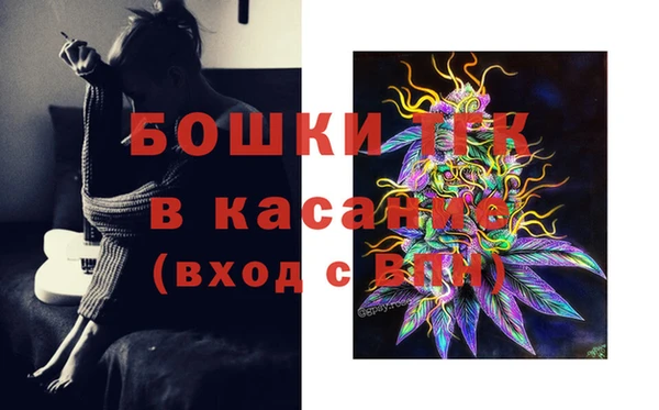 ГАЛЛЮЦИНОГЕННЫЕ ГРИБЫ Алексеевка