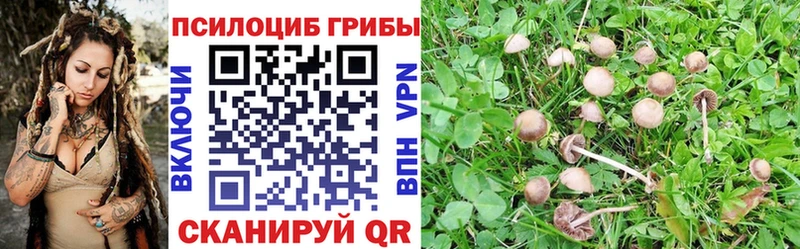 Псилоцибиновые грибы GOLDEN TEACHER  дарнет шоп  Похвистнево 