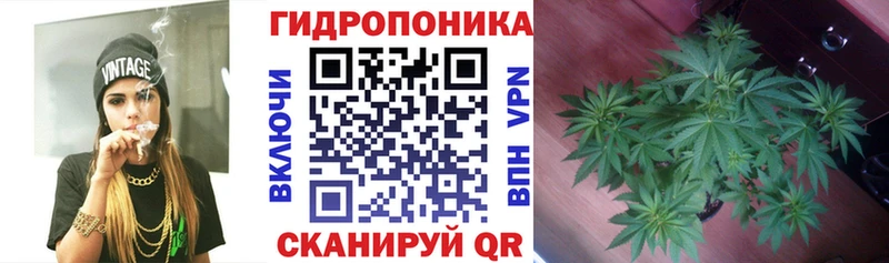Конопля MAZAR  Похвистнево 